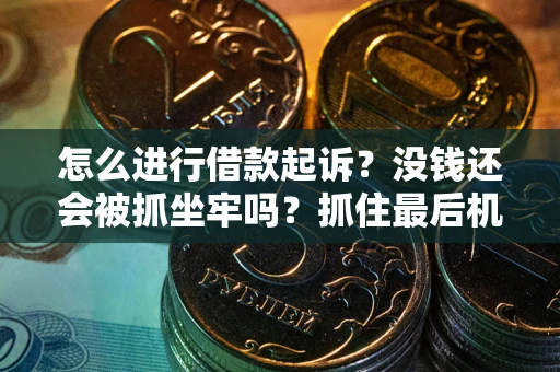 济南怎么进行借款起诉？没钱还会被抓坐牢吗？抓住最后机会！