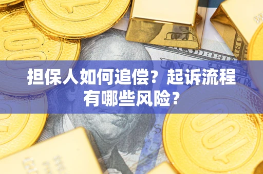 济南担保人如何追偿？起诉流程有哪些风险？
