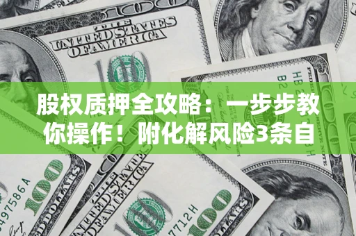 济南股权质押全攻略：一步步教你操作！附化解风险3条自救法则