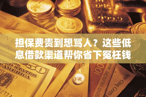 济南担保费贵到想骂人？这些低息借款渠道帮你省下冤枉钱