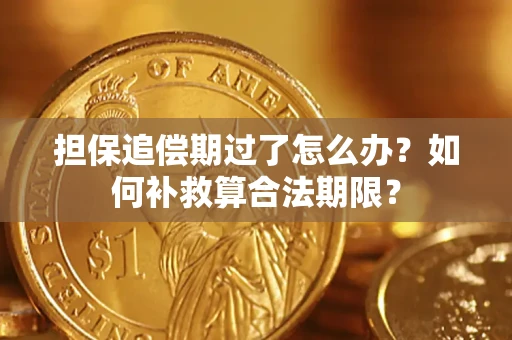 济南担保追偿期过了怎么办？如何补救算合法期限？