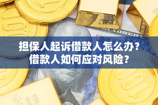 济南担保人起诉借款人怎么办？借款人如何应对风险？