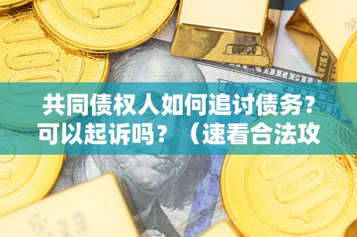 济南共同债权人如何追讨债务？可以起诉吗？（速看合法攻略）