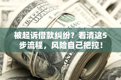济南被起诉借款纠纷？看清这5步流程，风险自己把控！